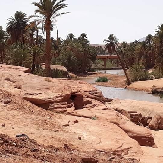 Oasis Palm small lake and desert landscape